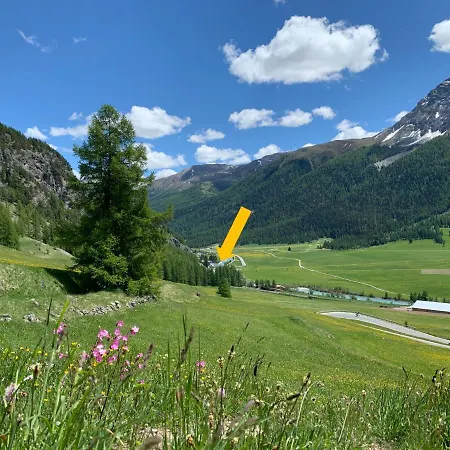 @ Werkhof * Madulain